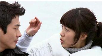 毒爱 电视剧在线观看,揭秘现代都市情感漩涡的惊心动魄故事